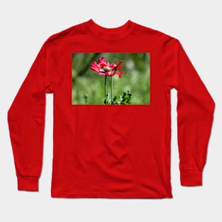 Red Poppy Wildflower Long Sleeve T-Shirt